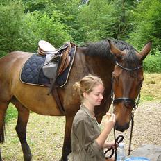 Anden særlig race Rolex