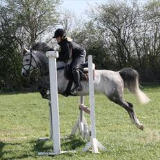 Anden særlig race Jazz B-pony :D