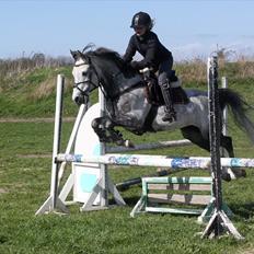 Anden særlig race Jazz B-pony :D