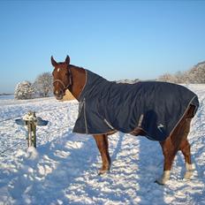 Anden særlig race Mia - <3 Himmelhest <3