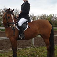 Anden særlig race Chanel