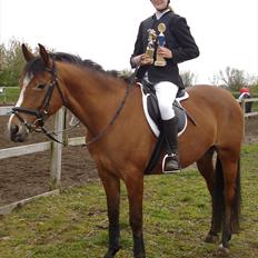 Anden særlig race Chanel