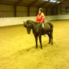 Anden særlig race Beauty part