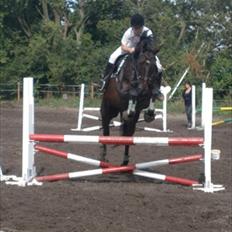 Anden særlig race Toby <3