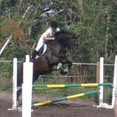 Anden særlig race Toby <3