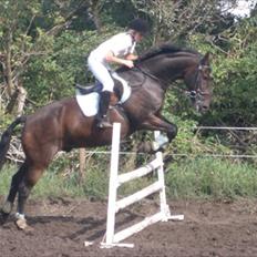 Anden særlig race Toby <3