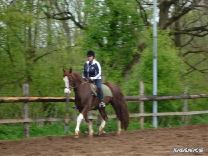 Anden særlig race Sam - Sam og Berit - 8. maj 2010 billede 14
