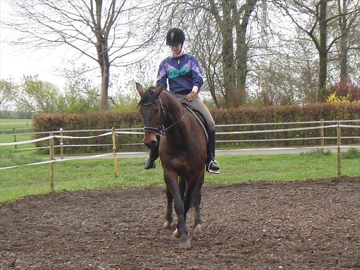 Anden særlig race Rolex - Schenkelvigning i skridt. Lørdag d. 8/5 2010. billede 4