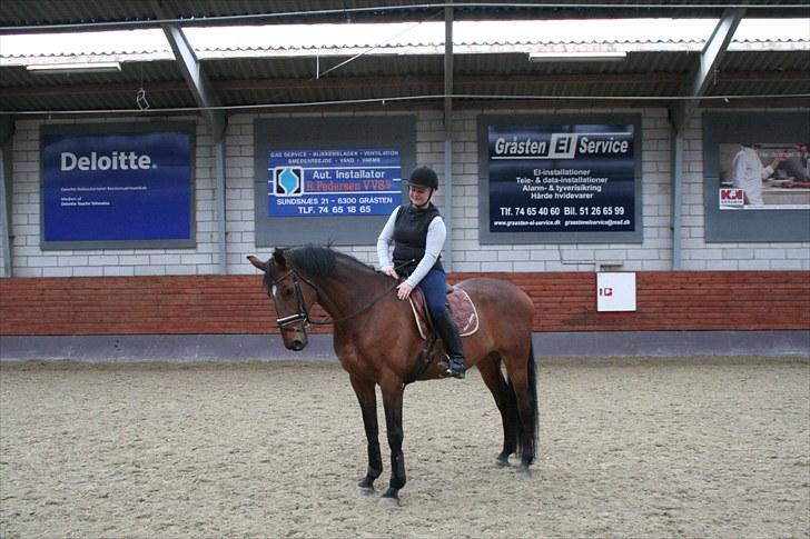 Dansk Varmblod Sønnikgårds Luna RDH billede 1