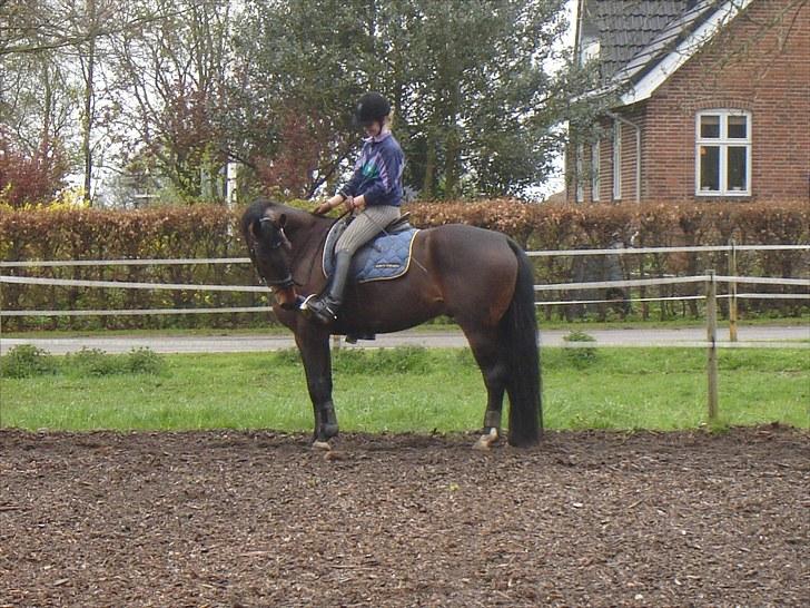 Anden særlig race Rolex - Lørdag d.8/5 2010. billede 6