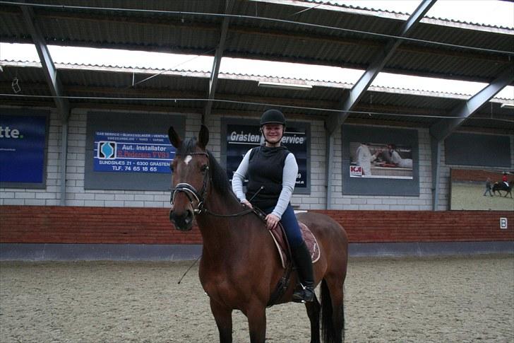 Dansk Varmblod Sønnikgårds Luna RDH billede 3