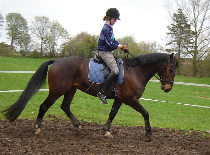 Anden særlig race Rolex - Lørdag d. 8/5 2010. billede 10