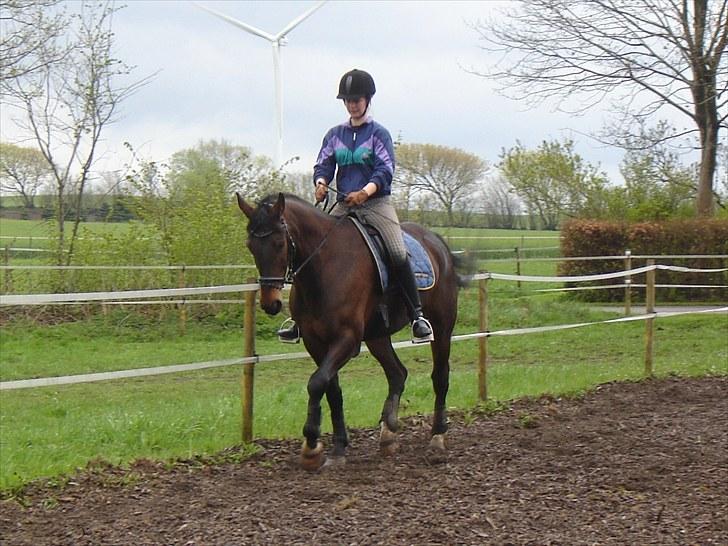 Anden særlig race Rolex - Lørdag d. 8/5 2010. billede 12