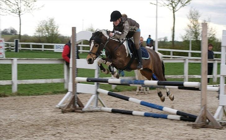 Anden særlig race Color solgt - Du en ener<3. billede 10