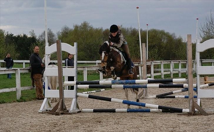 Anden særlig race Color solgt - Den bedste<3. billede 11