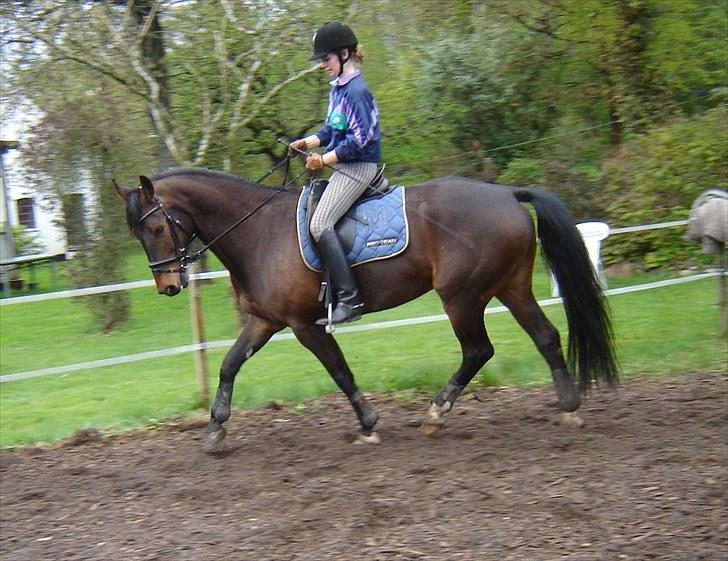 Anden særlig race Rolex - Lørdag d. 8/5 2010. billede 2