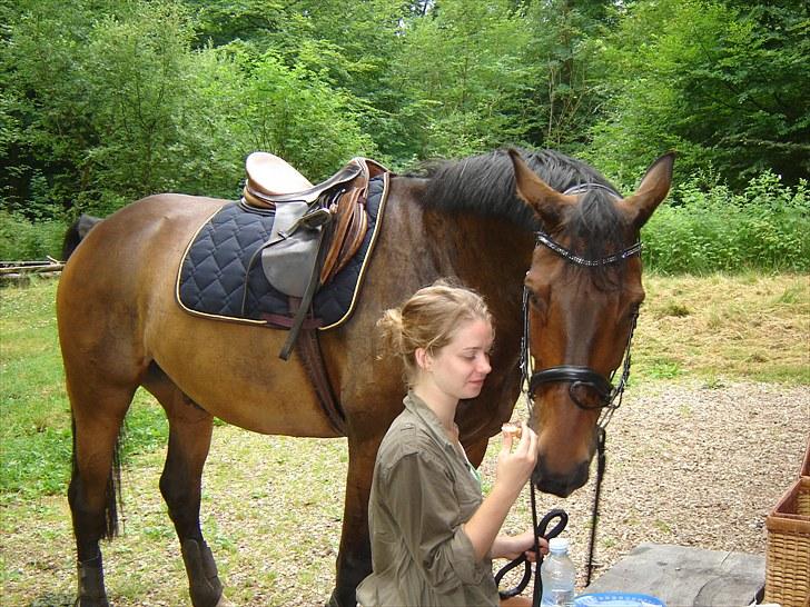 Anden særlig race Rolex - søndag d. 11/7 2010. billede 3