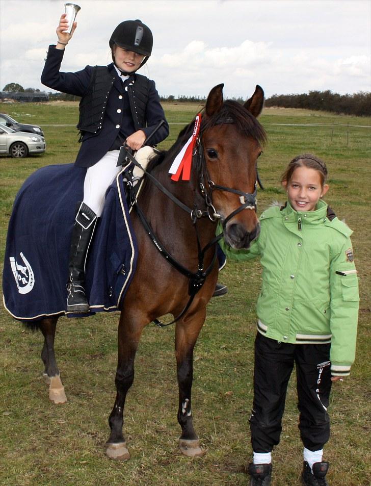 Svensk Sportspony  Ainée B-pony. Solgt! - 1. plads i Boller:d cup klasse og 1000 kr. til mig:)  billede 13