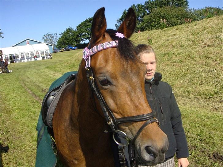 New Forest Otto - stævne i Løgstrup billede 6