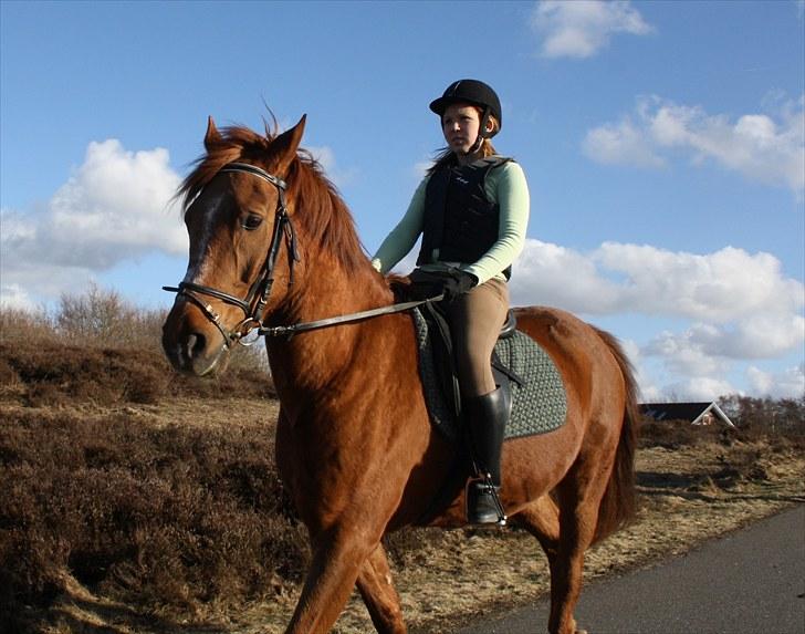 Anden særlig race Møffe<3 - på tur<3 billede 2