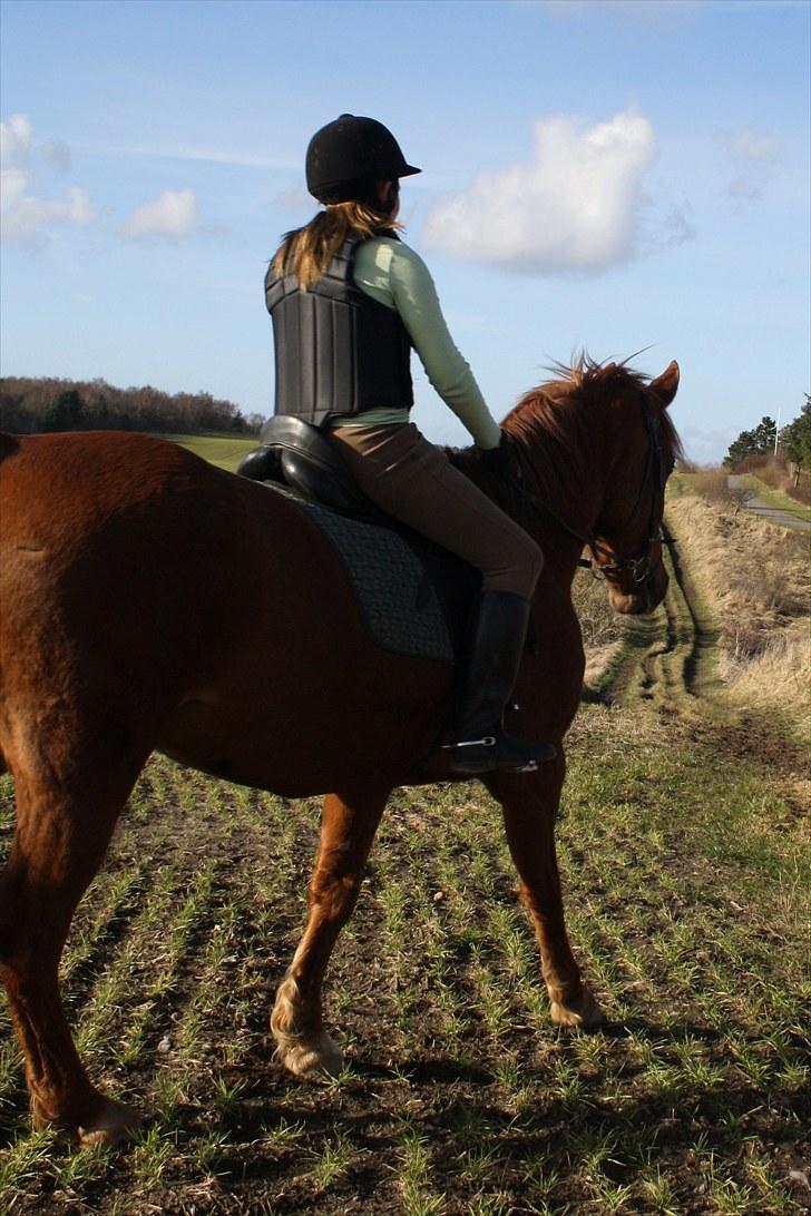 Anden særlig race Møffe<3 - efter dyret havde stejlet?!!?!! billede 3