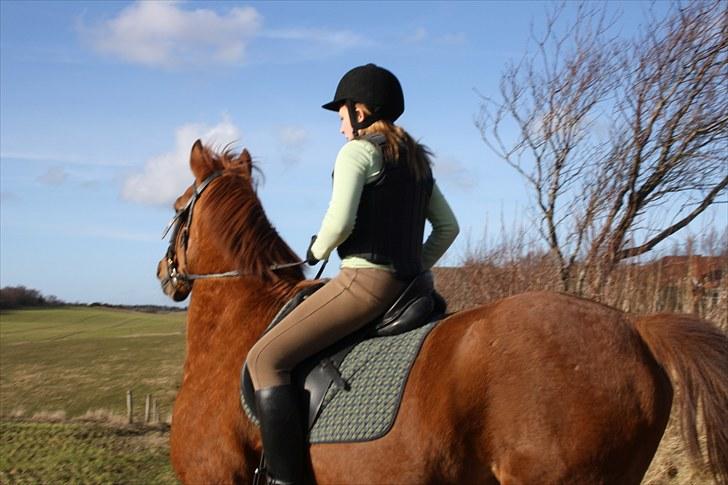 Anden særlig race Møffe<3 - Møffe inden han stejlede:P<3;) billede 6