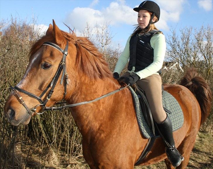 Anden særlig race Møffe<3 - Smååkke<3 billede 7