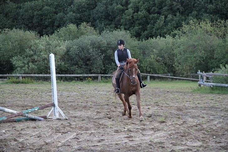 Anden særlig race Møffe<3 - dressur på springbanen:D<3 billede 9