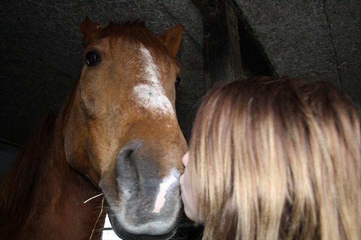 Anden særlig race Møffe<3 - mysse til møffe xD <3 billede 11