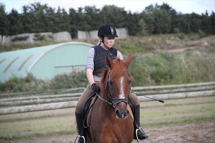 Anden særlig race Møffe<3 - Smuksak<3 billede 12