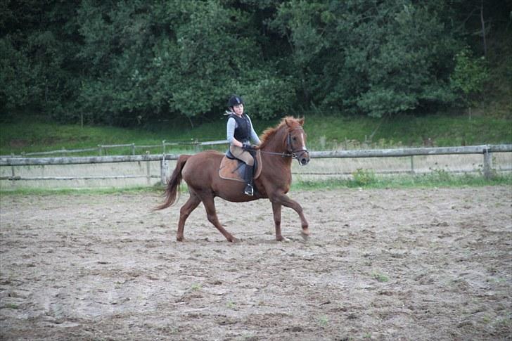 Anden særlig race Møffe<3 billede 13