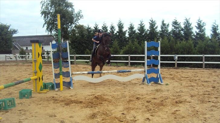 Traver Ju-bee (Far's hest) - Han er jo blevet en stjerne billede 12