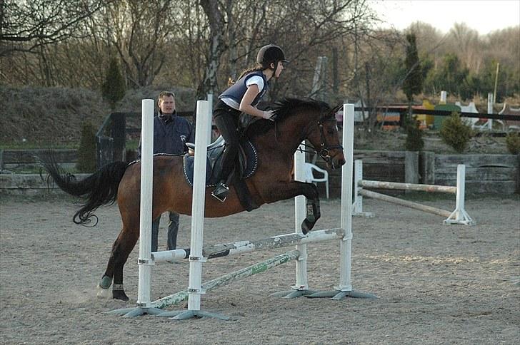 Anden særlig race Rudolph - Tidl springpart - Springundervisning april 2010 billede 18