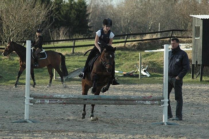 Anden særlig race Rudolph - Tidl springpart - Springundervisning april 2010 billede 19
