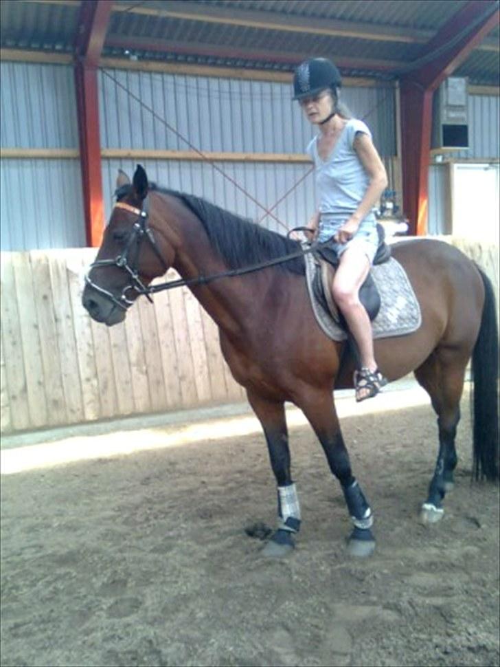 Traver Prim † 12/9-11 † billede 4