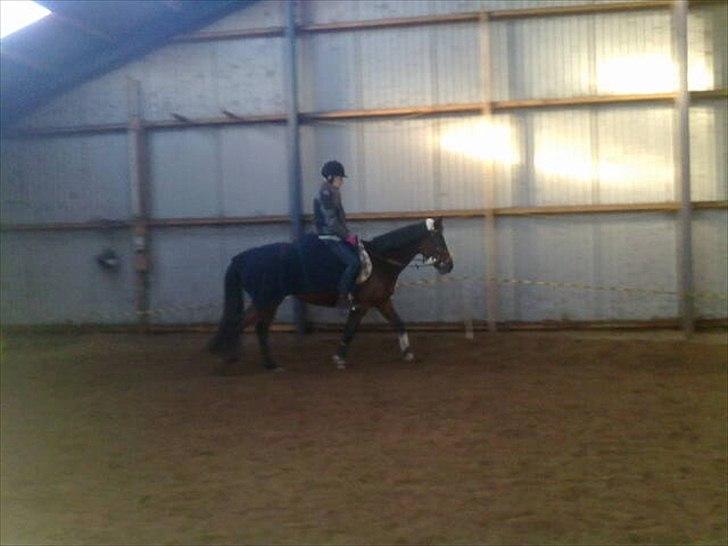 Traver Prim † 12/9-11 † - Prim  billede 6