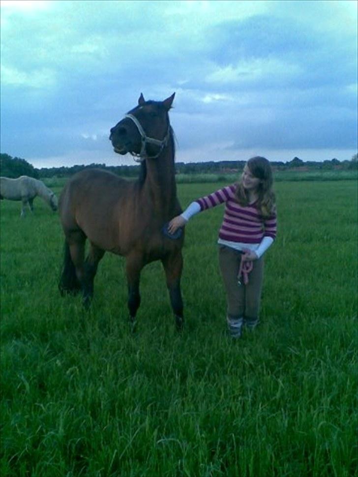 Traver Prim † 12/9-11 † - Kirstine nusser Prim. billede 9