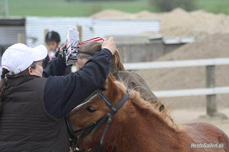 Anden særlig race Bob - premie overrakelse vi blev nr. 2. stævne i skive d.8 maj billede 19