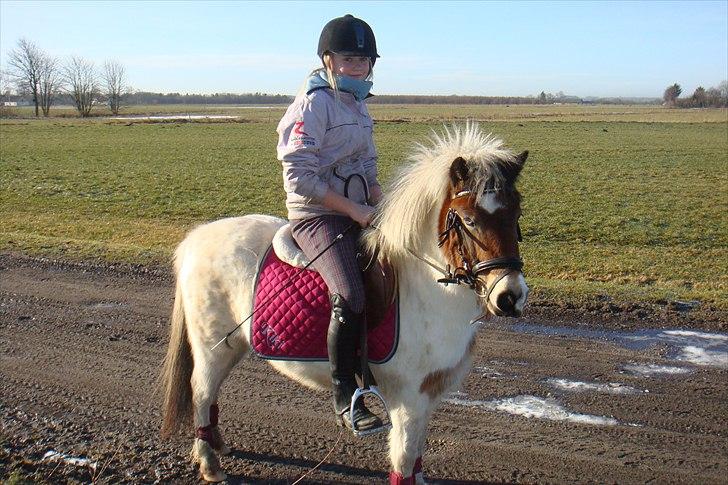 Anden særlig race KIKI BABY - Kærlighed starter med et smil, vokser med et kys og slutter med en tåre! billede 6