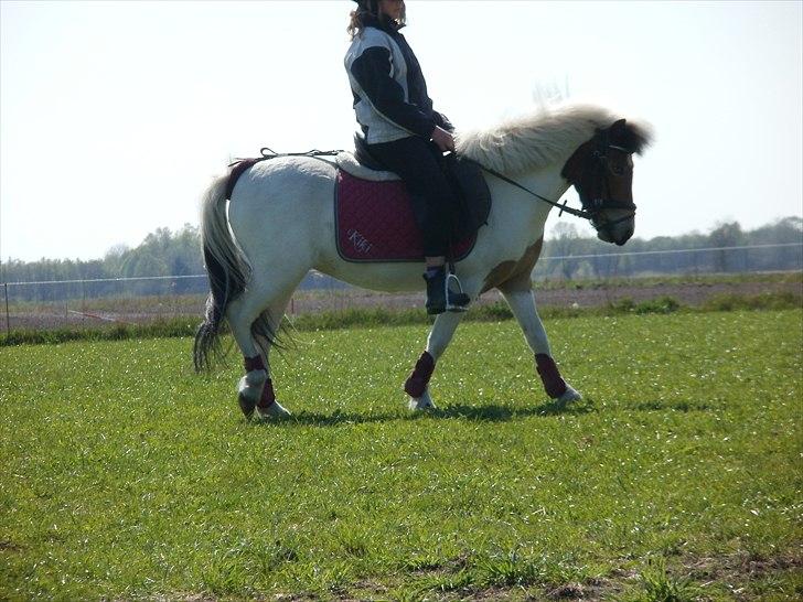 Anden særlig race KIKI BABY - 'Nyd hvert øjeblik, før det forsvinder - før det bliver til intet andet, end blot minder' billede 7