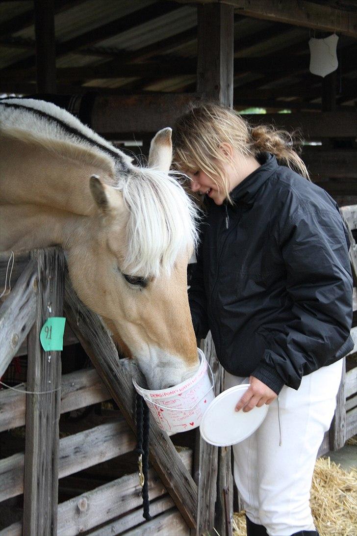 Fjordhest Pepsi pony - Dyrskuet 2010, jeg elsker dig!!<3    **Fotograf: Josefine. billede 5