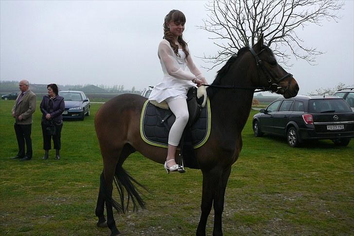 Tysk Sportspony Bonomelli (Kaldt Gonzo) - Solgt - Gonzo og jeg ved kirken til min konfirmation <3 billede 11