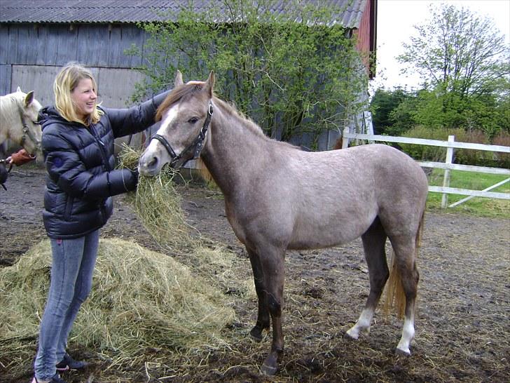 Cruzado solgt billede 19