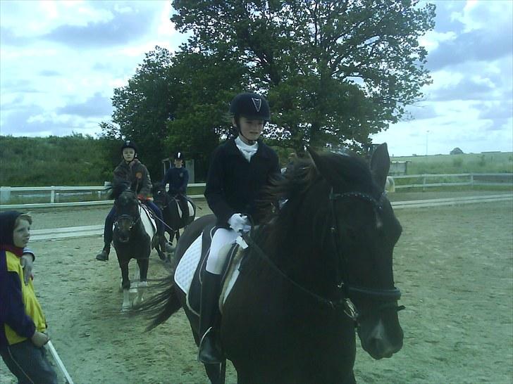 Anden særlig race Leika billede 9