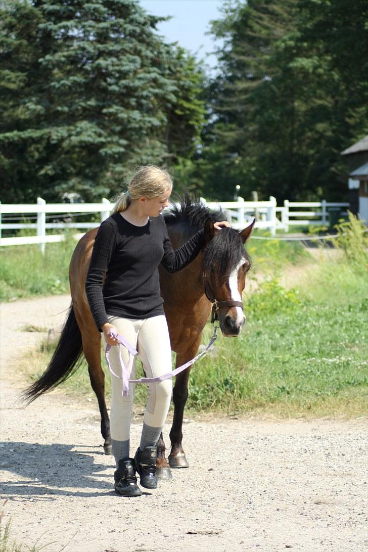 Anden særlig race Lucky Boy † miss you † - 5) At have dig ved min side, er ALT | Foto: Lea med mit kamara! | billede 5