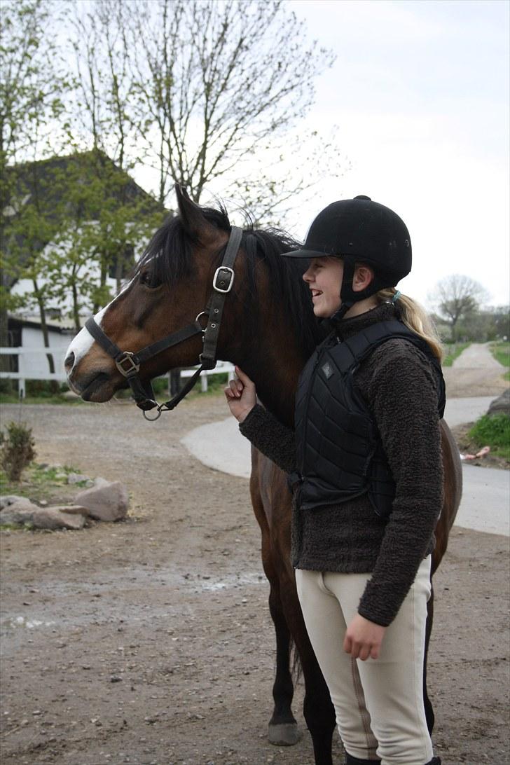 Anden særlig race Lucky Boy † miss you † - 9) Haha.. Årgh hvor er du dog fotogen! <3 | Foto: Amalie Reffelt, med mit kamara! | billede 9