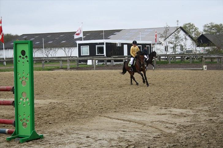 Anden særlig race Pilgaards Kiwi - Opvarmning på Kalle billede 11