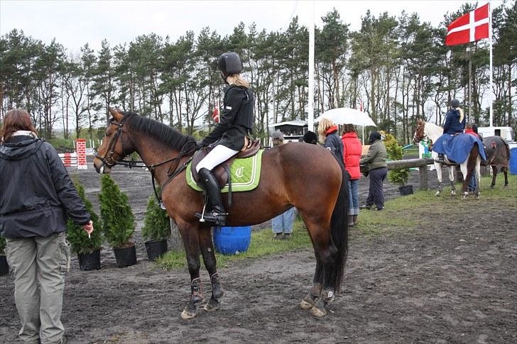 Anden særlig race Pilgaards Kiwi - Skøn dag ;D billede 14