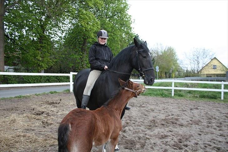 Anden særlig race Cassiopeia - Kys mig mor (:  billede 18