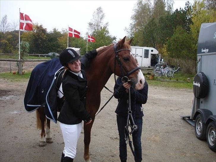 Anden særlig race Firebird  - ja LC2 nr 1 (; LB2 nr 1 en go dag (: billede 8